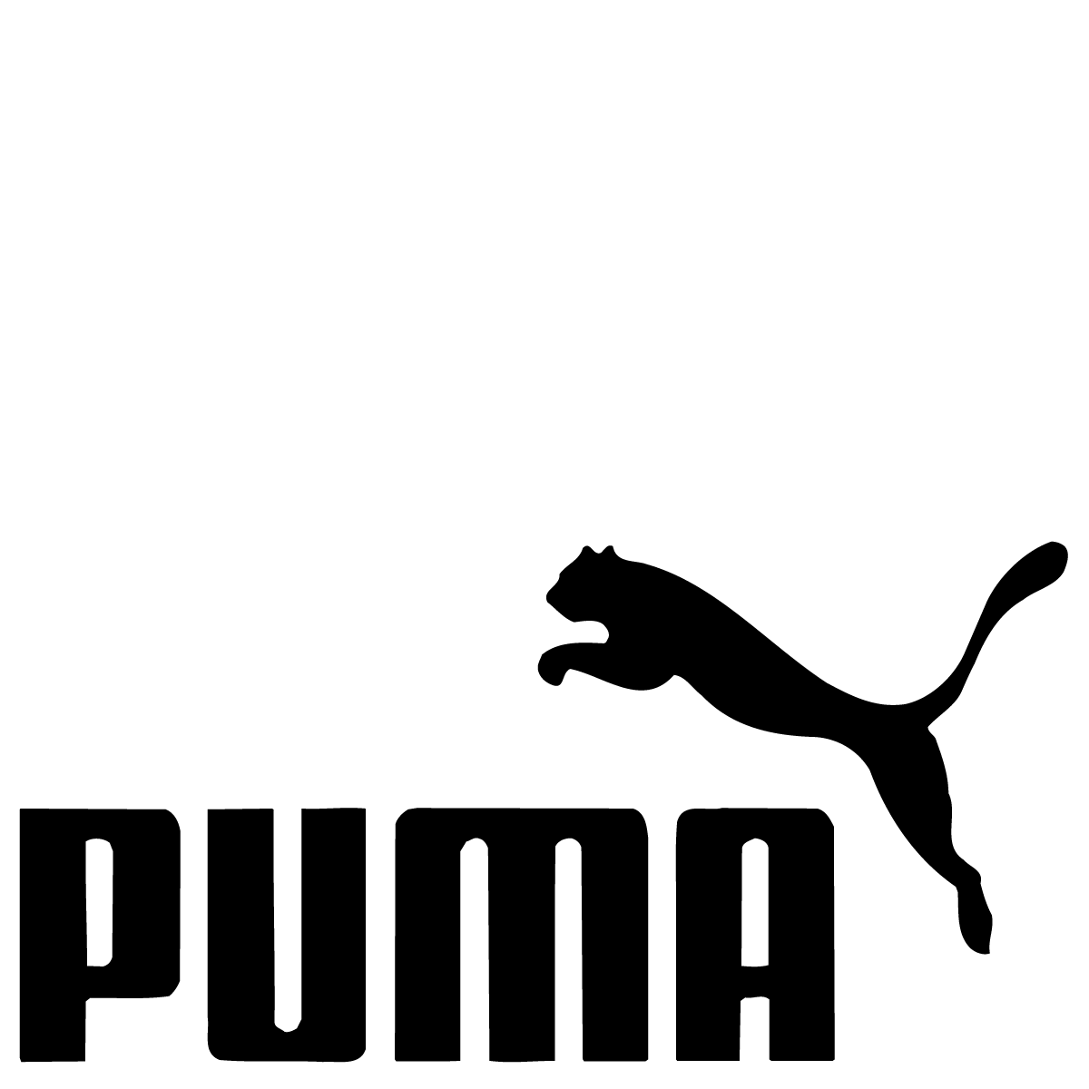 Puma Bälle